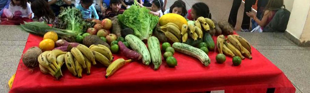 Feira das Descobertas